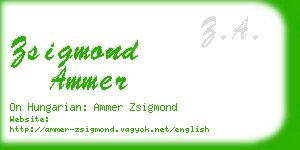 zsigmond ammer business card